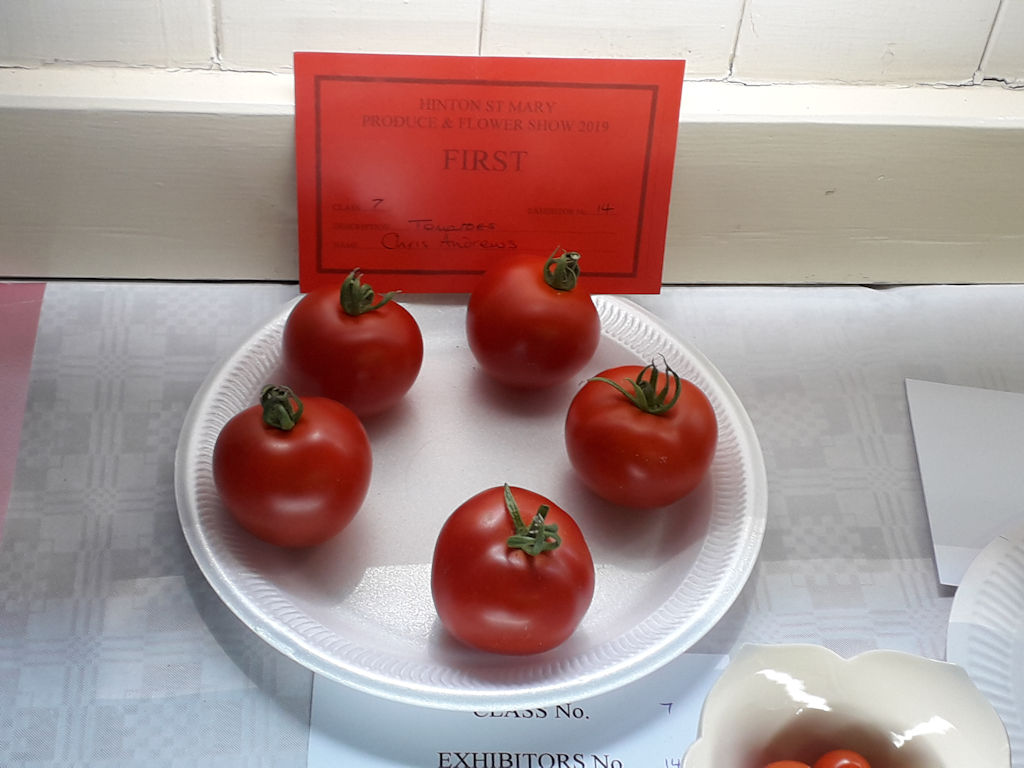 village-show-2019 - tomatoes on plate